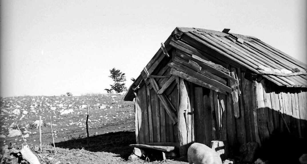 Una baracca di legno, Pollino, 1961, foto di Franco Actis, Archivio GSP