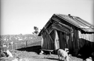 Una baracca di legno, Pollino, 1961, foto di Franco Actis, Archivio GSP