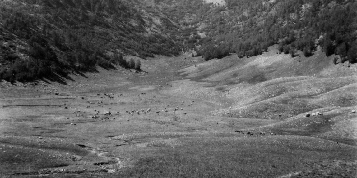 Canale di Malavento, in fondo il Trabucco, Pollino, 1961, foto di Beppe Dematteis, Archivio GSP